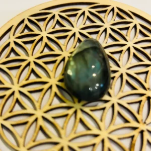 Pierre roulé Labradorite pierre naturelle verte lithothérapie Luzylola